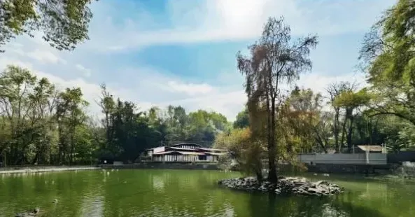Lago en la Roma Sur